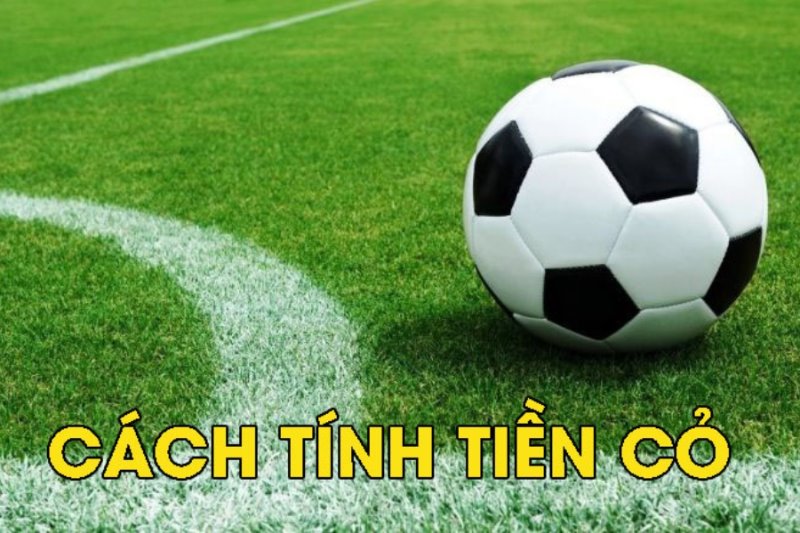 Cách tính tiền cỏ cho hội viên khá đơn giản, dễ hiểu