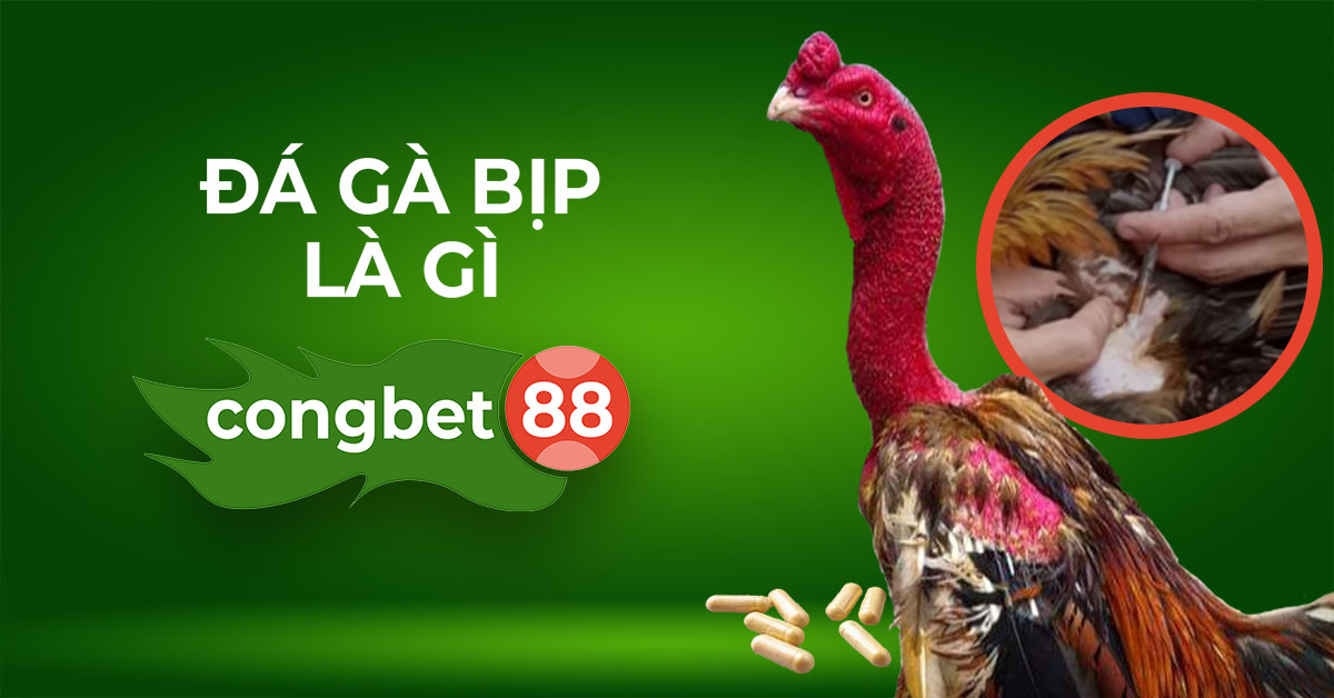 Đá gà bịp là gì