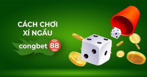 cách chơi xí ngầu congbet88